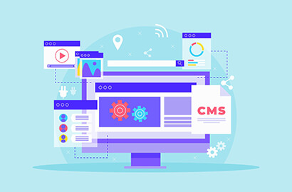 CMS - Plugin for WordPress